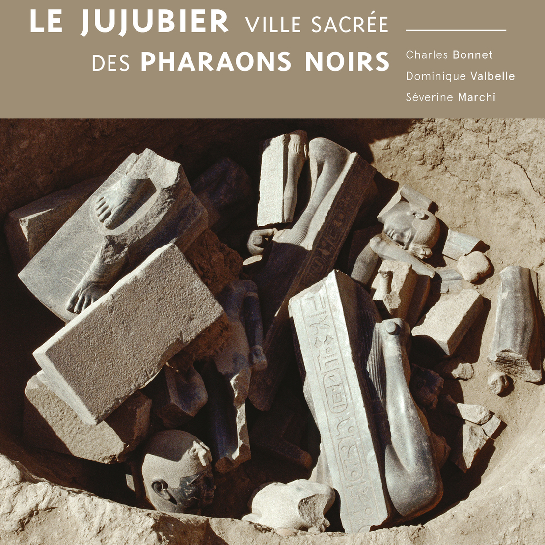 Image - 2021_1er-COUV_JUJUBIER.jpg