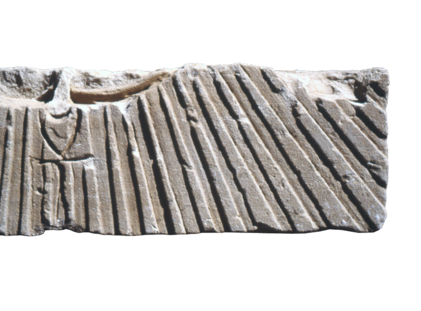 Image - 5.Papyrus-fig.-7.png