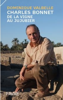 Image - 2014_vigneaujujubier.jpg